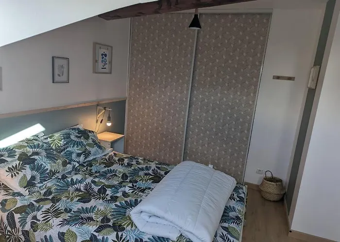 Appartement Spacieux / T2 Refais A Neuf / Proche Centre